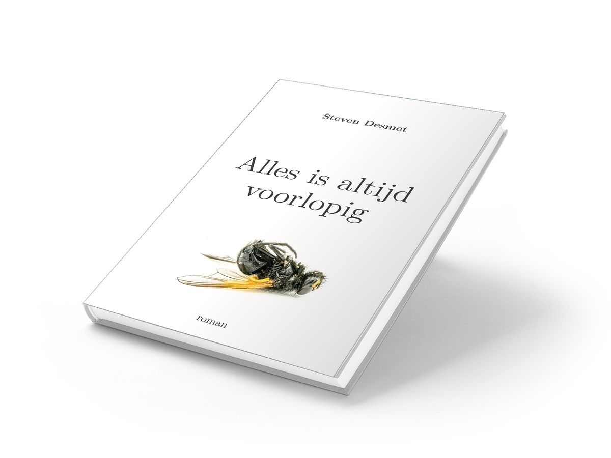 Alles is altijd voorlopig